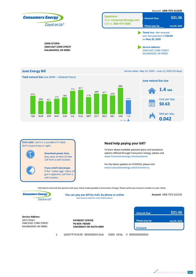 download USA Michigan Consumers Energy utility bill template in Word and PDF format PDF template